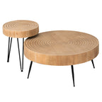 Ensemble de 2 tables basses rustiques avec étagère pour salon
