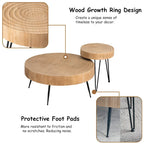 Ensemble de 2 tables basses rustiques avec étagère pour salon